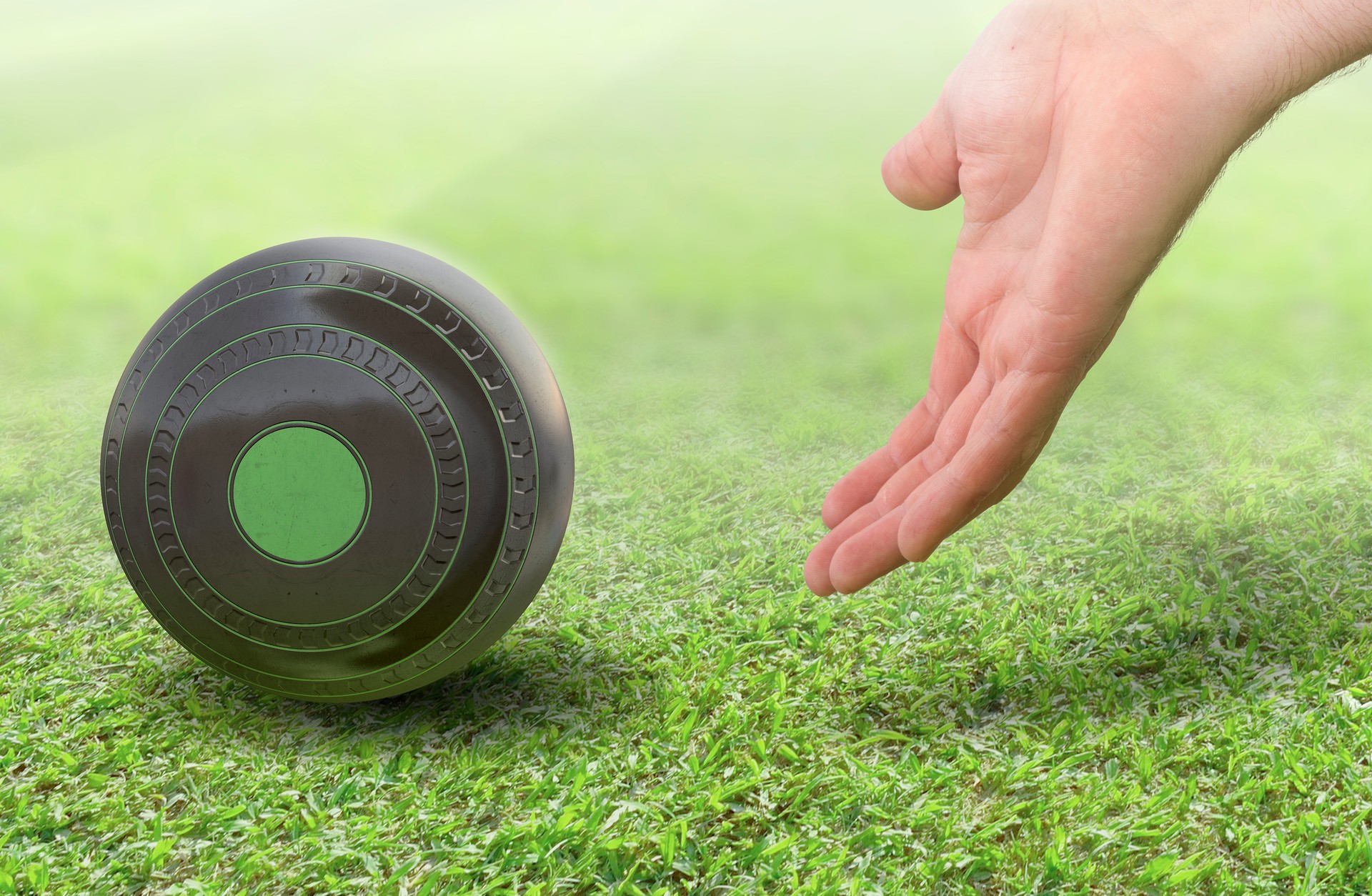 Hand And Lawn Bowl